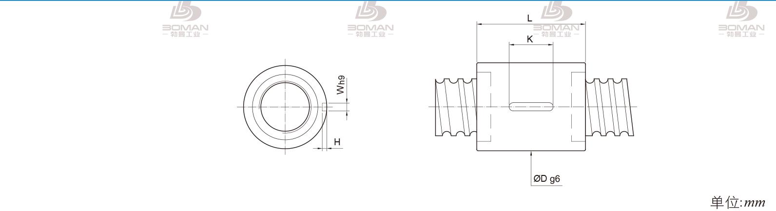 PMI RSIC10016-6 pmi滚珠丝杠的轴环作用